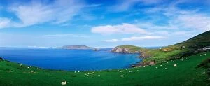 Images Dated 16th September 2007: Co Kerry, Dingle Peninsula, Slea Head & Blasket Islands