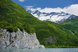 Kittiwake Rookery, Shoup Bay State Marine Park, Prince William Sound, Southcentral Alaska, Summer Kittiwake Rookery, Shoup Bay State Marine Park, Prince William Sound, Southcentral Alaska, Summer