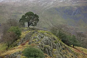 Landscape With Traces Of Snow On The Mountain; Cumbria England Landscape With Traces Of Snow On The Mountain; Cumbria England