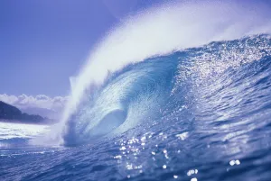 Large Curling Glassy Wave, Slight Glimpse Of Land Large Curling Glassy Wave, Slight Glimpse Of Land
