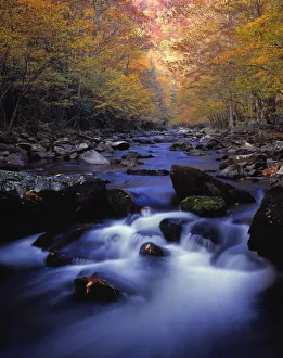 Little River Cascades And Autumn Colors, Great Smoky Mountains National Park Little River Cascades And Autumn Colors, Great Smoky Mountains National Park