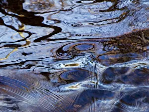 Living Waters, Massachusetts, Seekonk, Caratunk Wildlife Refuge, Ripples And Reflections On Water Surface