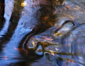 Loa, Massachusetts, Seekonk, Caratunk Wildlife Refuge, Water Patterns, Reflections And Leaves