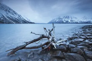 Log Along The Shores Of Kathleen Lake, Kluane National Park, Yukon Log Along The Shores Of Kathleen Lake, Kluane National Park, Yukon