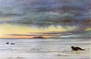 Looking north in McMurdo Sound, Antarctica. After a watercolour by E. A. Wilson. Edward Adrian Wilson, 1872 - 1912 Looking north in McMurdo Sound, Antarctica. After a watercolour by E. A. Wilson. Edward Adrian Wilson, 1872 - 1912