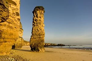 Images Dated 12th October 2008: Lots Wife Rock Formation, South Shields, Tyne And Wear, England