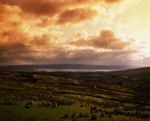 Lough Allen, County Leitrim, Ireland, From The Iron Mountains Lough Allen, County Leitrim, Ireland, From The Iron Mountains