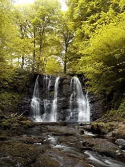 Images Dated 25th May 2006: Low Angle View Of A Waterfall In A Forest, Glenariff Waterfall, County Antrim, Northern Ireland