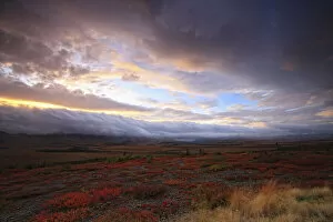 Images Dated 25th August 2009: Low Clouds At Sunrise At The Arctic Circle, Yukon