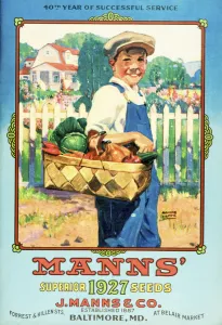 Mann's Seed Catalog With Illustration Of Boy Holding Vegetables From The 20th Century Mann's Seed Catalog With Illustration Of Boy Holding Vegetables From The 20th Century