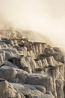 Morning Light Burns Through Heavy Steam At Mammoth Springs, Yellowstone National Park; Wyoming Morning Light Burns Through Heavy Steam At Mammoth Springs, Yellowstone National Park; Wyoming
