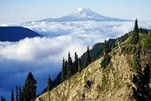 Images Dated 21st September 2006: Mount Adams Above Cloud-Filled Valley, Washington, United States Of America