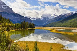 Mount Kitchener Reflected In Pond Near Beauty Creek Hostel, Jasper National Park, Alberta Mount Kitchener Reflected In Pond Near Beauty Creek Hostel, Jasper National Park, Alberta