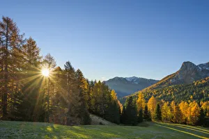 Mountain with beautifully colored larches and sun, Vigo di Fassa, Dolomites, Trentino-Alto Adige, South Tirol, Italy Mountain with beautifully colored larches and sun, Vigo di Fassa, Dolomites, Trentino-Alto Adige, South Tirol, Italy