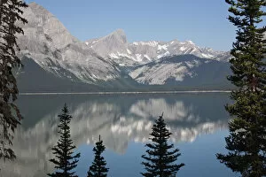Images Dated 29th July 2012: Mountain lake reflecting mountain range with snow and blue sky framed by trees in kananaskis