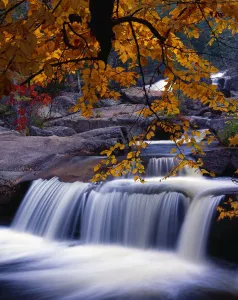 Nesowadnehunk Stream, Rapids, Autumn Colors, Baxter State Park Nesowadnehunk Stream, Rapids, Autumn Colors, Baxter State Park