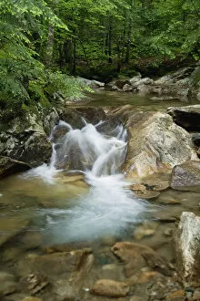 Images Dated 25th June 2011: New England, New Hampshire, White Mountains, A rocky riverbed and waterfall