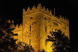 Fifteenth Century Gallery: Night Lights Illuminating Bunratty Castle With Silhouetted Trees And Black Sky; Bunratty