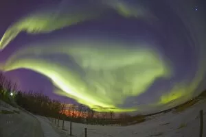 Images Dated 13th March 2004: Northern Lights, Edmonton, Alberta, Canada