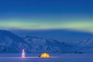 Northern Lights Glow In The Sky Above A Backpacking Tent And Lit Christmas Tree At Twilight Alaska Range In The Northern Lights Glow In The Sky Above A Backpacking Tent And Lit Christmas Tree At Twilight Alaska Range In The