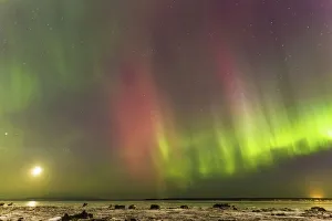 Boreal Forest Gallery: Northern Lights And Moon In The Sky Above The Snow Covered Mudflats Of Knik Arm, Winter, Cook Inlet