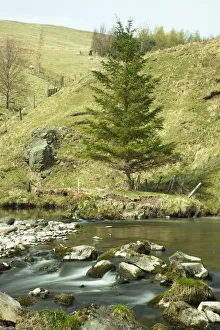 Northumberland, England; A River Flowing Over Rocks By A Hillside Northumberland, England; A River Flowing Over Rocks By A Hillside