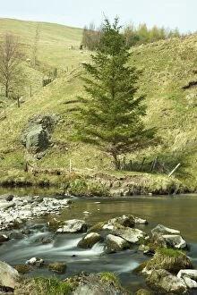 Images Dated 24th April 2010: Northumberland, England; A River Flowing Over Rocks By A Hillside