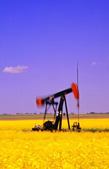Images Dated 3rd September 2002: Oil Pumpjack In A Canola Field