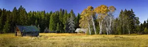 Aspen Trees Gallery: Old building in a field in autumn