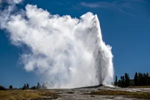 Old Faithful erupting into the air against a blue sky, Yellowstone National Park, Wyoming, USA Old Faithful erupting into the air against a blue sky, Yellowstone National Park, Wyoming, USA