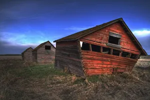 Three Old Red Granaries On The Alberta Prairie, North Of Edmonton Three Old Red Granaries On The Alberta Prairie, North Of Edmonton
