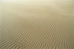 Lifeless Gallery: Oregon, Close-Up Of Sand Patterns In The Umpqua Dunes