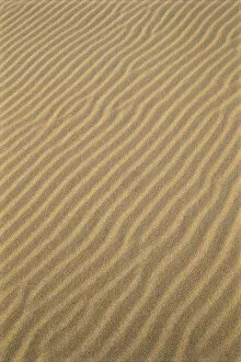Images Dated 15th April 1999: Oregon Dunes National Recreation Area, Sand Patterns, Wave Like