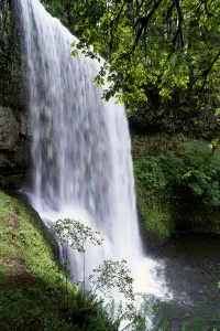Images Dated 24th July 1997: Oregon, Silver Falls State Park, Lower South Falls, B1648
