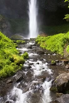 Images Dated 18th June 2008: Oregon, United States Of America; Latourell Falls In The Columbia River Gorge National Scenic Area