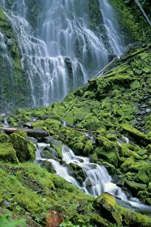 Lakes Streams Art Gallery: Oregon, Willamette Valley, Lower Proxy Falls, Green Mossy Rocks, Waterfall A51D