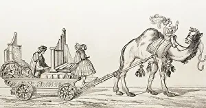 The Organist Paul Hoffaner Playing In A Carriage Drawn By A Camel The Organist Paul Hoffaner Playing In A Carriage Drawn By A Camel