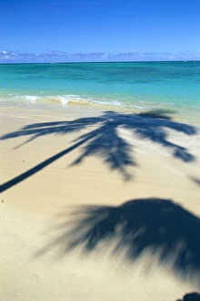 Images Dated 8th June 1998: Palm Shadows On White Sand Beach, Turquoise Water C1713