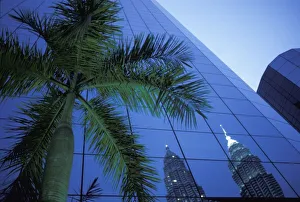 Palm Tree And Reflection Of Petronas Towers In Facade Palm Tree And Reflection Of Petronas Towers In Facade