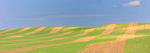 Panoramic Picture Of Patterns In Farmer's Field, Saskatchewan Panoramic Picture Of Patterns In Farmer's Field, Saskatchewan