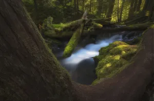 Panther Creek; Washington, United States Of America Panther Creek; Washington, United States Of America