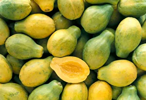 Many Papayas Colors, Yellow And Green, One Cut In Half C1171 Many Papayas Colors, Yellow And Green, One Cut In Half C1171