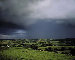 Pastoral Landscape, Loughcrew, County Meath, Ireland Pastoral Landscape, Loughcrew, County Meath, Ireland