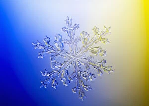 Photo-microscope view of a real snowflake showing the classic 6-sided star shape