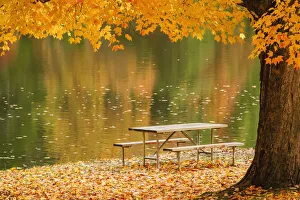 A picnic table beside a tranquil lake with golden leaves on the trees in autumn, shawnee state park; Ohio A picnic table beside a tranquil lake with golden leaves on the trees in autumn, shawnee state park; Ohio