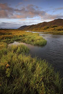 Pink Clouds At Sunrise Over The Cloudy Range, Small Stream And Fall Colours Along The Dempster Highway, Yukon Pink Clouds At Sunrise Over The Cloudy Range, Small Stream And Fall Colours Along The Dempster Highway, Yukon