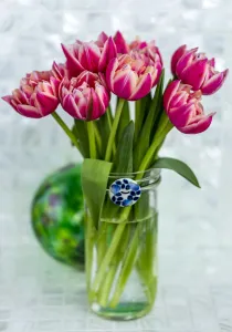 Pink tulips arranged in a glass vase on a counter in Surrey, British Columbia, Canada Pink tulips arranged in a glass vase on a counter in Surrey, British Columbia, Canada