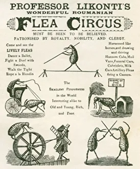 Playbill Of The Professor Likonti's Wonderful Romanian Performing Fleas. From The Strand Magazine, Published 1896 Playbill Of The Professor Likonti's Wonderful Romanian Performing Fleas. From The Strand Magazine, Published 1896