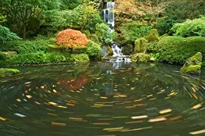 Images Dated 25th October 2005: Pond, Oregon, United States Of America
