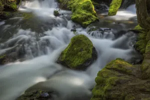 A Portion Of Panther Creek; Washington, United States Of America A Portion Of Panther Creek; Washington, United States Of America